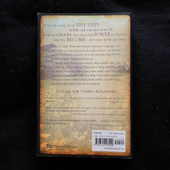 3 - Tamera Alexander Historical Romance Books - Picture 6 of 9